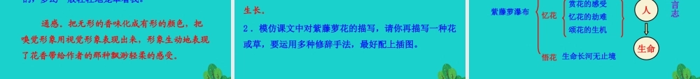 七年级语文下册 第五单元 17 紫藤萝瀑布课件 新人教版 课件