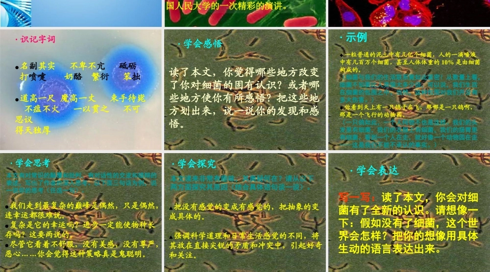 八年级语文下册(细菌的启示)课件 北师大版 课件
