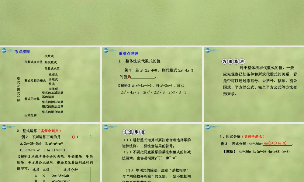 中考数学 第一章 第二节 整 式课件