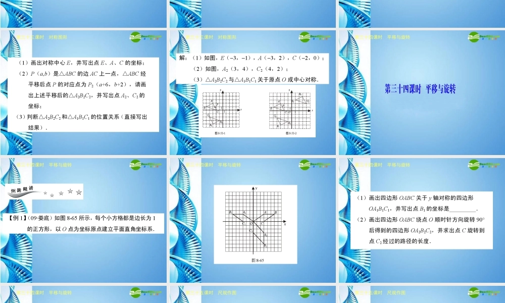 广东省深圳中考数学复习宝典 第八章 图形与变换课件