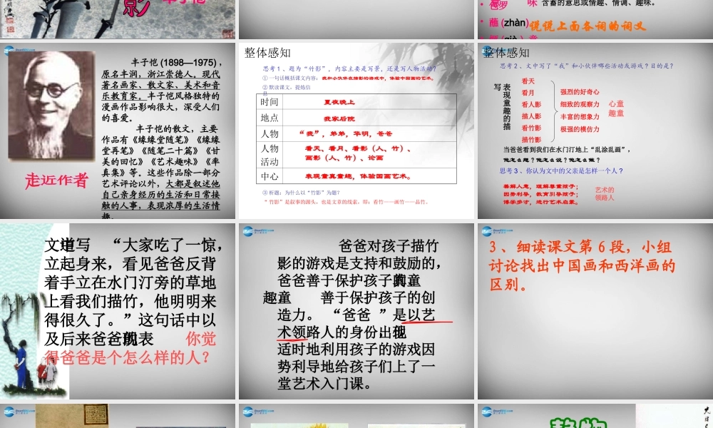 中学七年级语文下册 18(竹影)课件 新人教版 课件