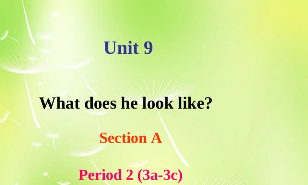 中学七年级英语下册 Unit 9 What does he look like Section A 2课件 (新版)人教新目标版 课件
