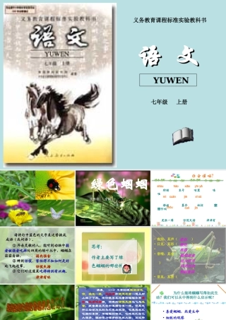 定稿 七年级语文上册_第四单元_18.绿色蝈蝈课件人教版