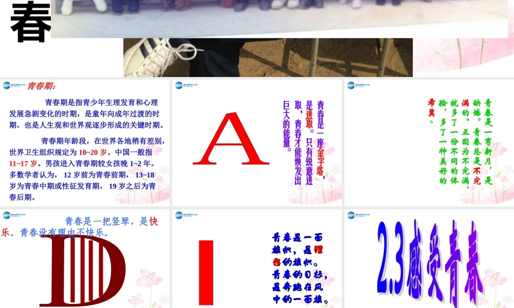 中学七年级政治上册 2.3 感受青春课件 粤教版 课件