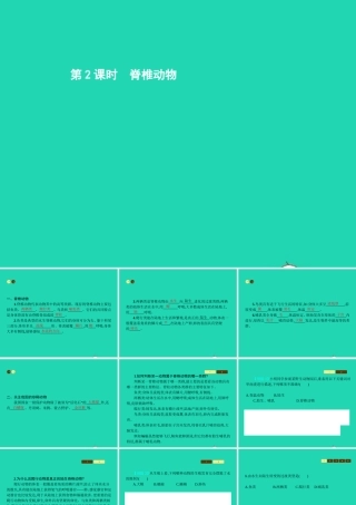 八年级生物上册 14.2 千姿百态的动物世界(第2课时)课件 (新版)苏教版 课件