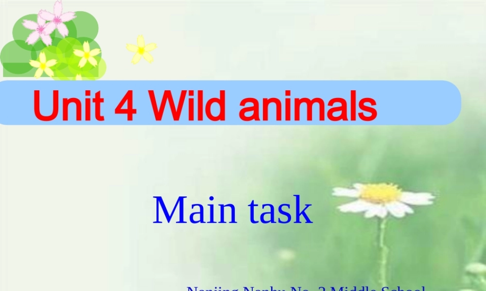 八年级英语Unit 4 Wild animals课件牛津版 课件
