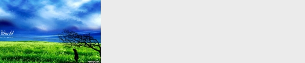 任意角的三角函数 三角函数第四章高三数学文科第一轮复习课件全集 新课标 人教版 三角函数第四章高三数学文科第一轮复习课件全集 新课标 人教版