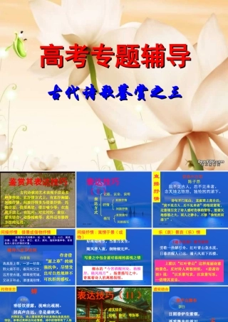 古代诗歌鉴赏3 通用高考古代诗歌鉴赏专题课件集[整理五套] 通用高考古代诗歌鉴赏专题课件集[整理五套]