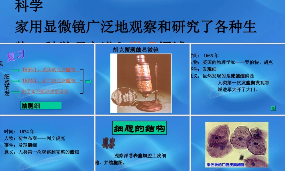 七年级生物上册 细胞的结构课件 人教新课标版 课件