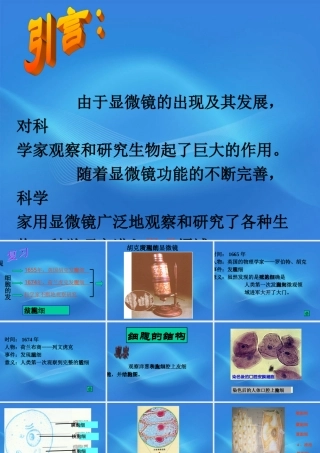 七年级生物上册 细胞的结构课件 人教新课标版 课件