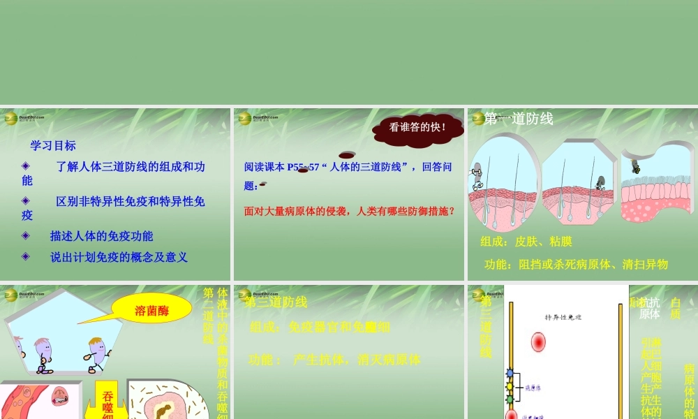 八年级生物下册 第五章 免疫和计划免疫配套课件1 鲁科版 课件