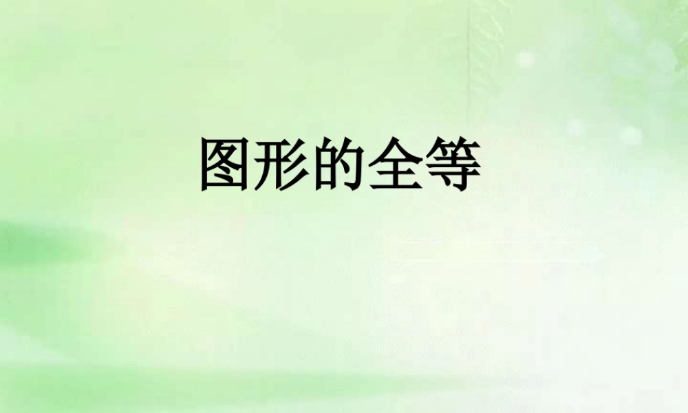 图形的全等第二十四章课件示例一 课件