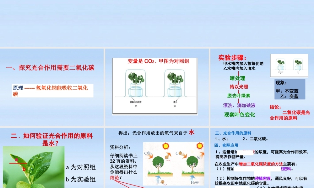 八年级生物上册 第四章第二节光合作用的原料课件 冀教版 课件