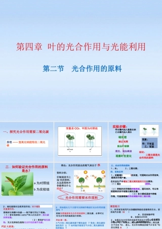 八年级生物上册 第四章第二节光合作用的原料课件 冀教版 课件