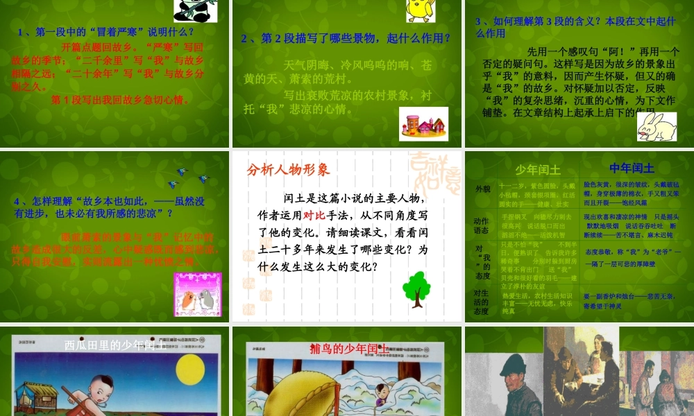 中学九年级语文上册 9 故乡课件 新人教版 课件