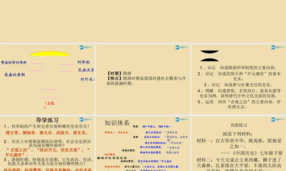 中考历史(繁荣与开放的社会)复习课件1 课件