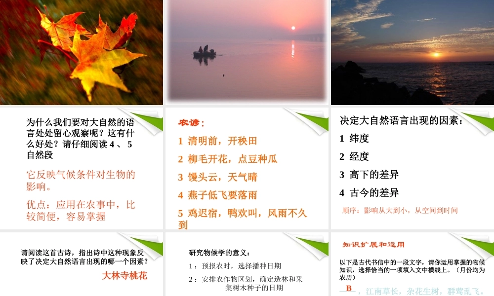 八年级语文上册 第十六课(大自然的语言)课件 人教新课标版 课件