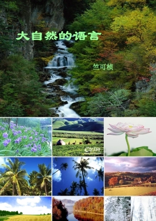 八年级语文上册 第十六课(大自然的语言)课件 人教新课标版 课件