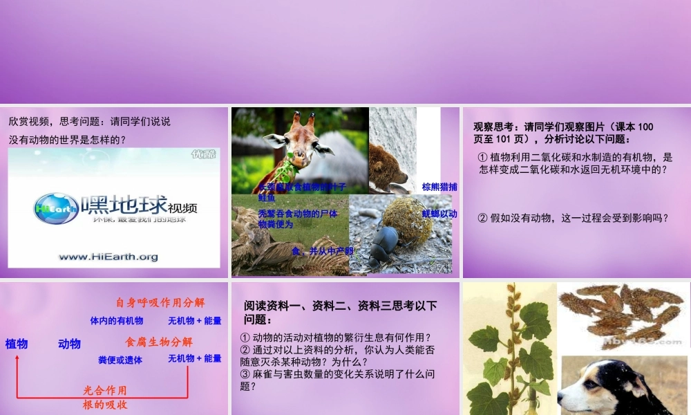 七年级生物上册 2.2.5(动物在生物圈中的作用)课件 (新版)济南版 课件