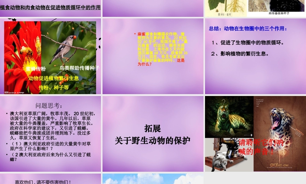 七年级生物上册 2.2.5(动物在生物圈中的作用)课件 (新版)济南版 课件