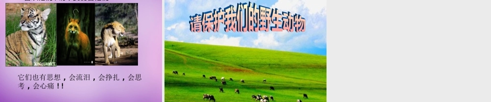 七年级生物上册 2.2.5(动物在生物圈中的作用)课件 (新版)济南版 课件