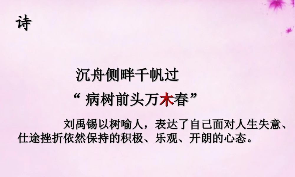 七年级语文上册 第八单元 第45课(大树和我们的生活)课件 上海五四制版 课件