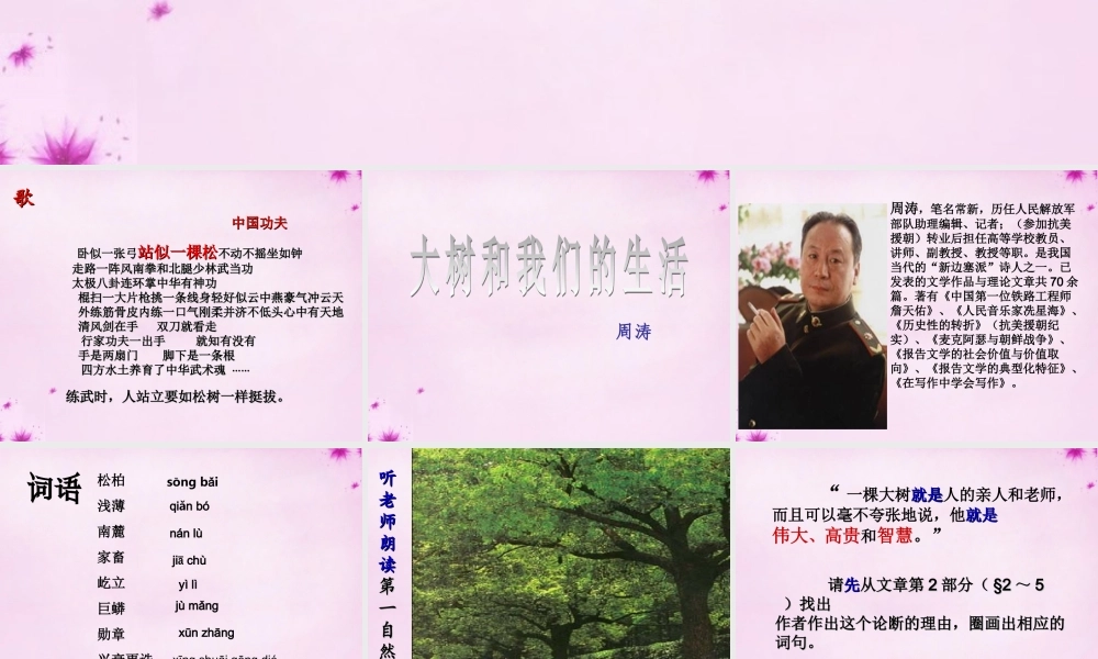 七年级语文上册 第八单元 第45课(大树和我们的生活)课件 上海五四制版 课件