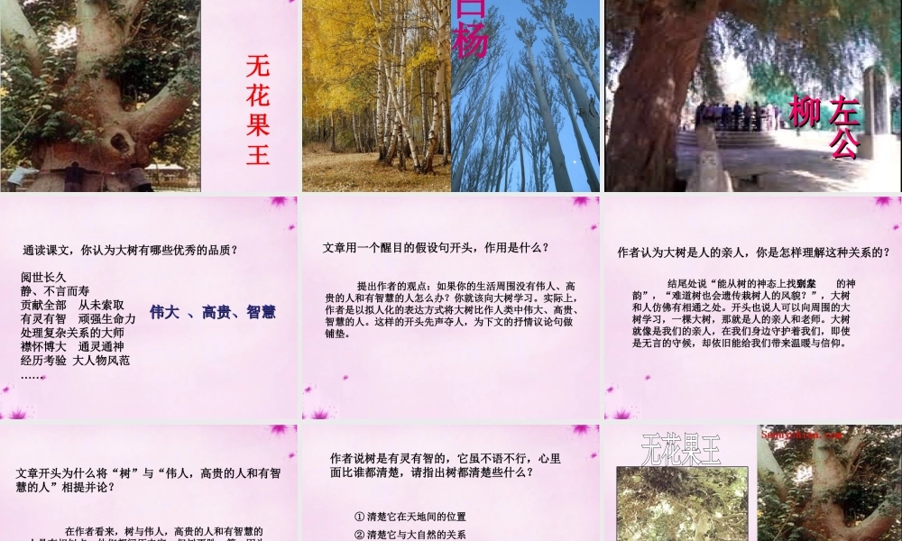 七年级语文上册 第八单元 第45课(大树和我们的生活)课件 上海五四制版 课件