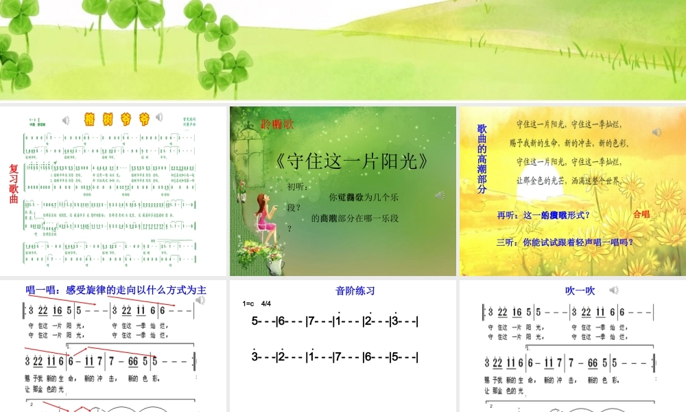 守住这一片阳光