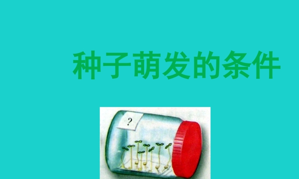 八年级生物上册 第三单元 第一章 第二节 种子萌发的条件 实验种子萌发的条件课件 冀少版 课件