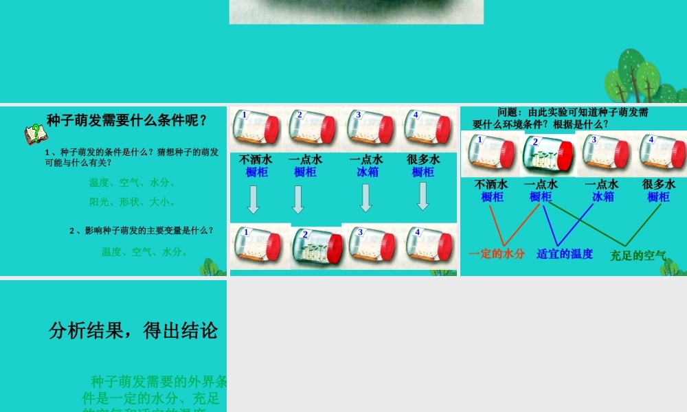 八年级生物上册 第三单元 第一章 第二节 种子萌发的条件 实验种子萌发的条件课件 冀少版 课件