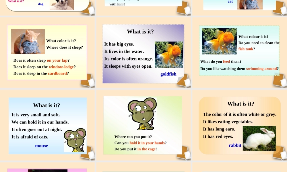 七年级英语下册 Unit6 Comic strip & Welcome to the unit同步授课优质课件 牛津版 课件