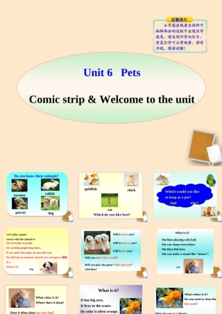 七年级英语下册 Unit6 Comic strip & Welcome to the unit同步授课优质课件 牛津版 课件