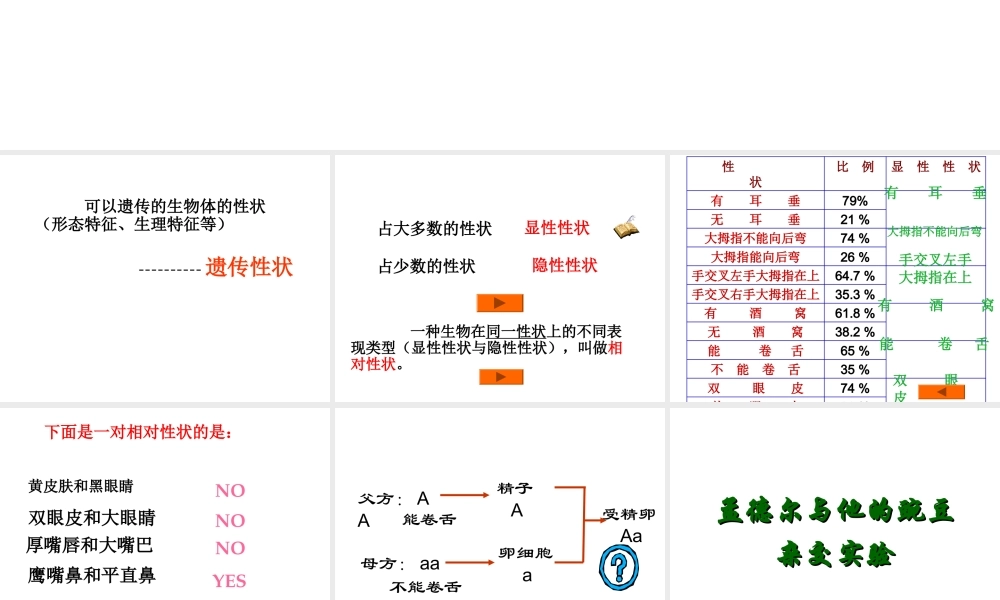 八年级生物基因的显性和隐性课件