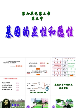 八年级生物基因的显性和隐性课件