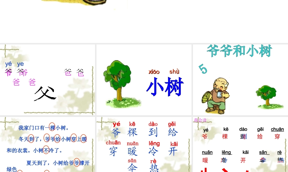 薛剑婷《爷爷和小树》课件