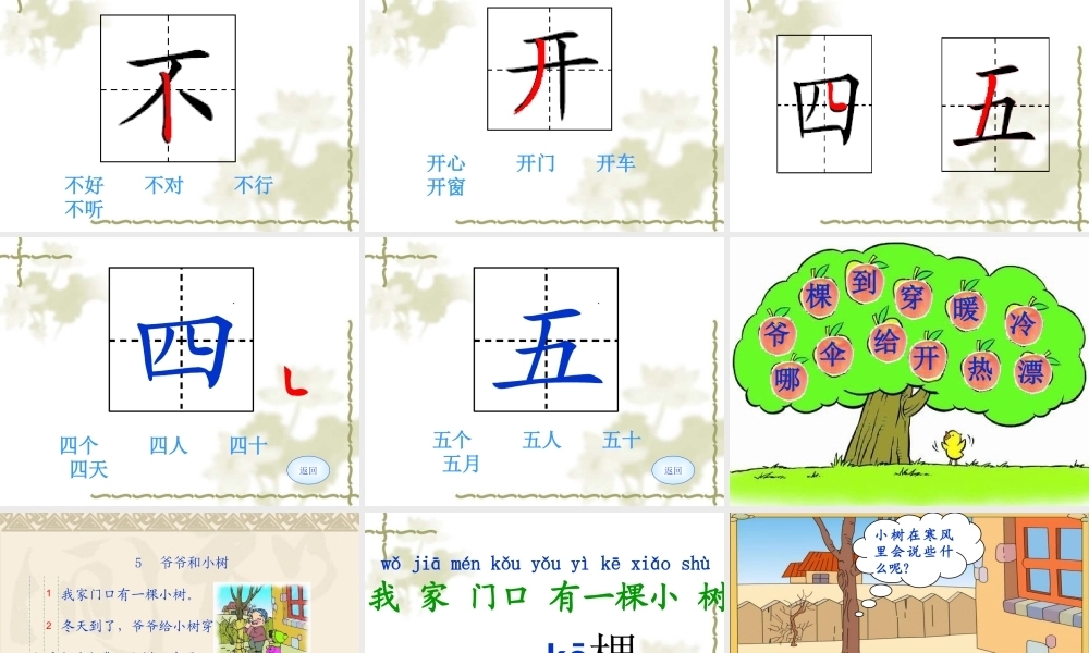 薛剑婷《爷爷和小树》课件