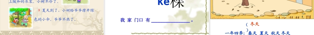 薛剑婷《爷爷和小树》课件
