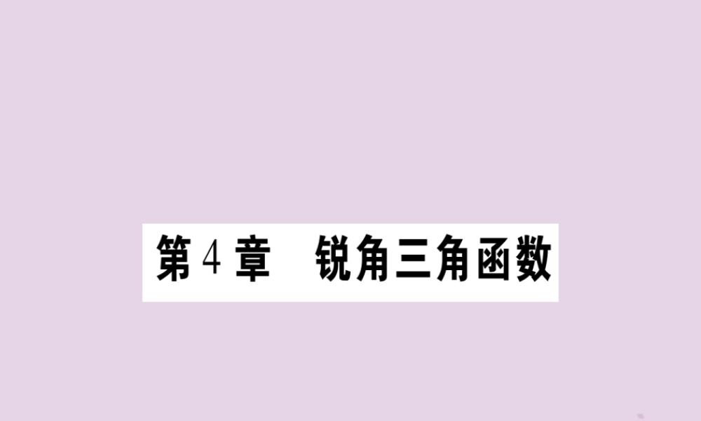 九年级数学上册 第4章 锐角三角函数 41 正弦和余弦 第1课时 作业课件 (新版)湘教版 课件