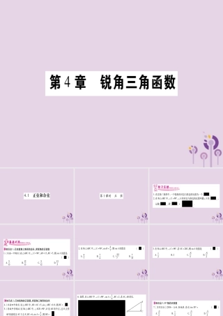 九年级数学上册 第4章 锐角三角函数 41 正弦和余弦 第1课时 作业课件 (新版)湘教版 课件