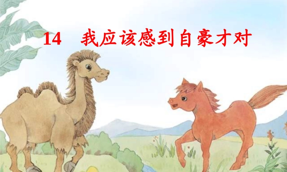 我应该感到自豪才对(课件)