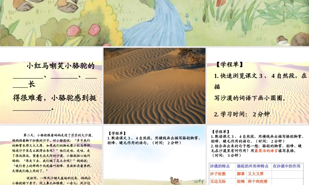 我应该感到自豪才对(课件)