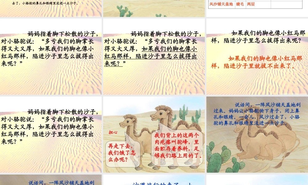 我应该感到自豪才对(课件)