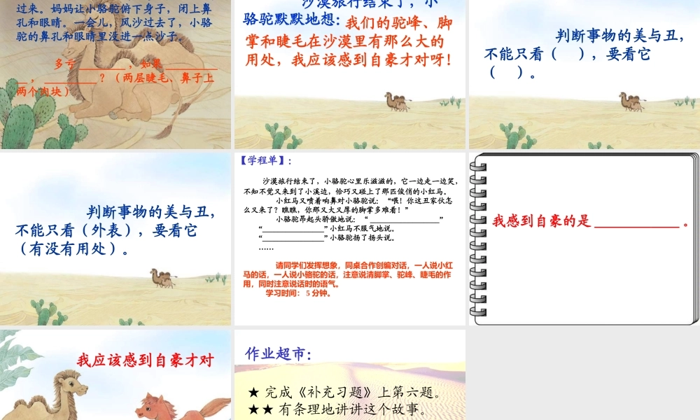我应该感到自豪才对(课件)