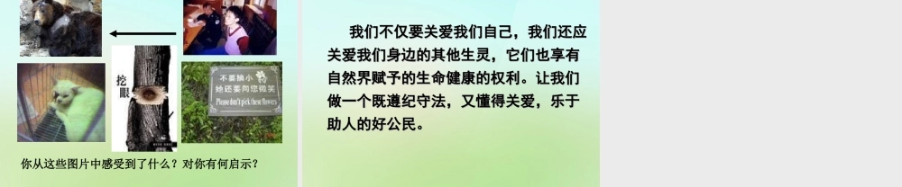 八年级政治下册 第二单元 第三课 第2框(同样的权利 同样的爱护)课件 新人教版 课件