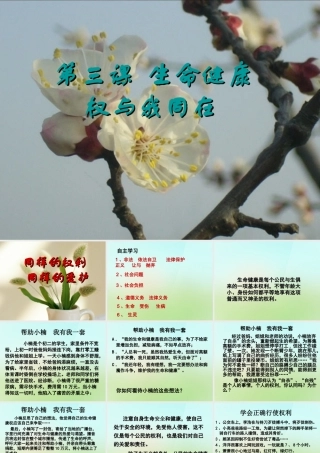 八年级政治下册 第二单元 第三课 第2框(同样的权利 同样的爱护)课件 新人教版 课件