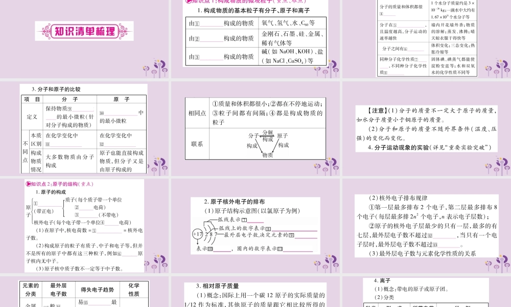 中考化学复习 第一部分 基础知识 第二单元 化学基本概念和原理 第9讲 物质的组成和结构(精讲)课件