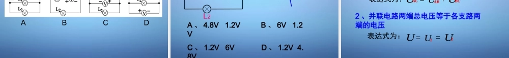九年级物理全册 162 串、并联电路中电压的规律课件 (新版)新人教版 课件