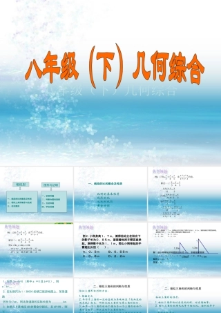 中考数学复习 几何综合课件 苏教版 课件