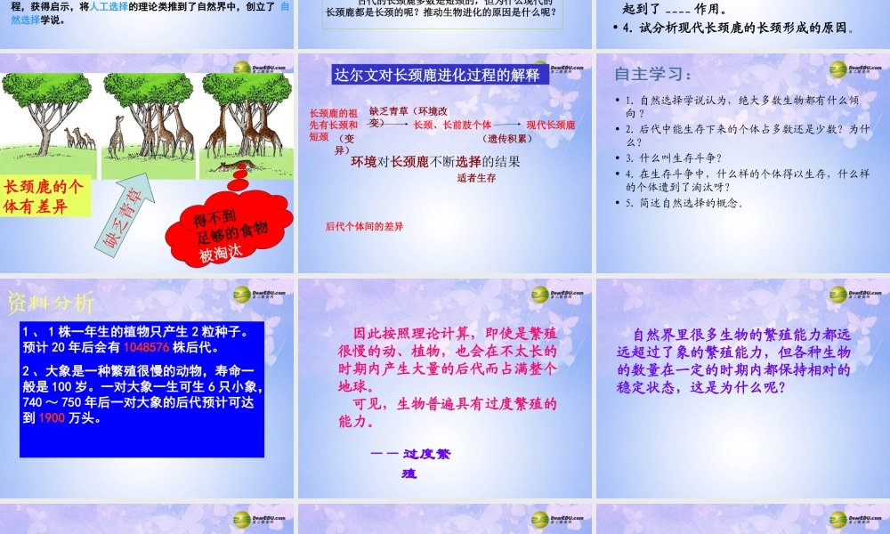 八年级生物下册 进化的原因课件1 济南版 课件